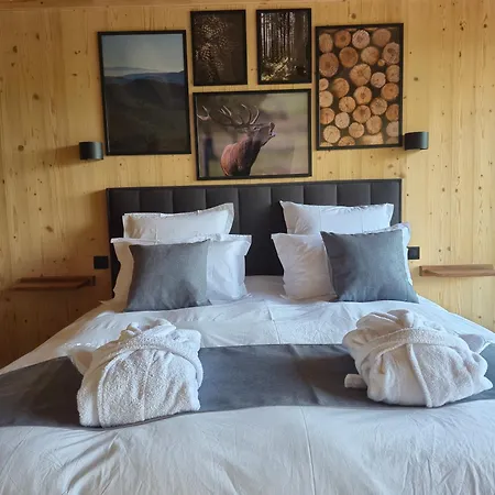 Σπίτι διακοπών Aux Melezes De Xavier 4 Etoiles Wangenbourg-Engenthal