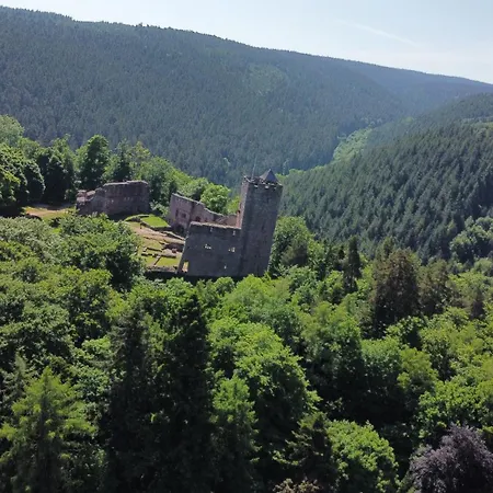 Aux Melezes De Xavier 4 Etoiles