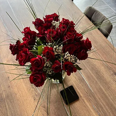 Aux Melezes De Xavier 4 Etoiles *