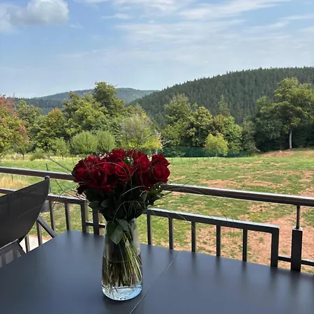 Aux Melezes De Xavier 4 Etoiles * Wangenbourg-Engenthal